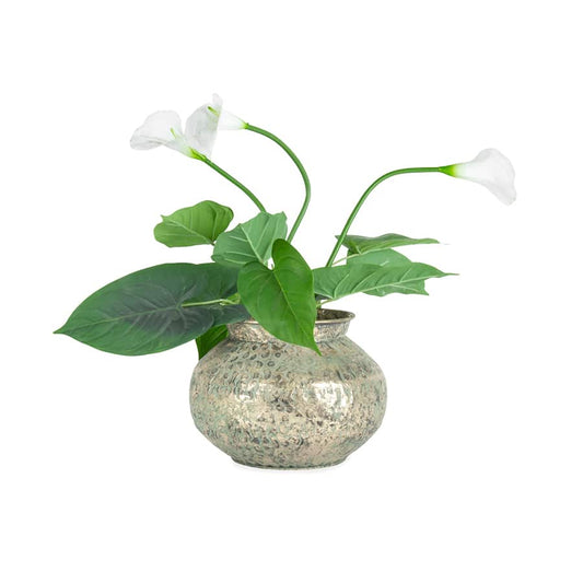 Hammered Squat Bowl Lip-Antique Gold 28x21cm